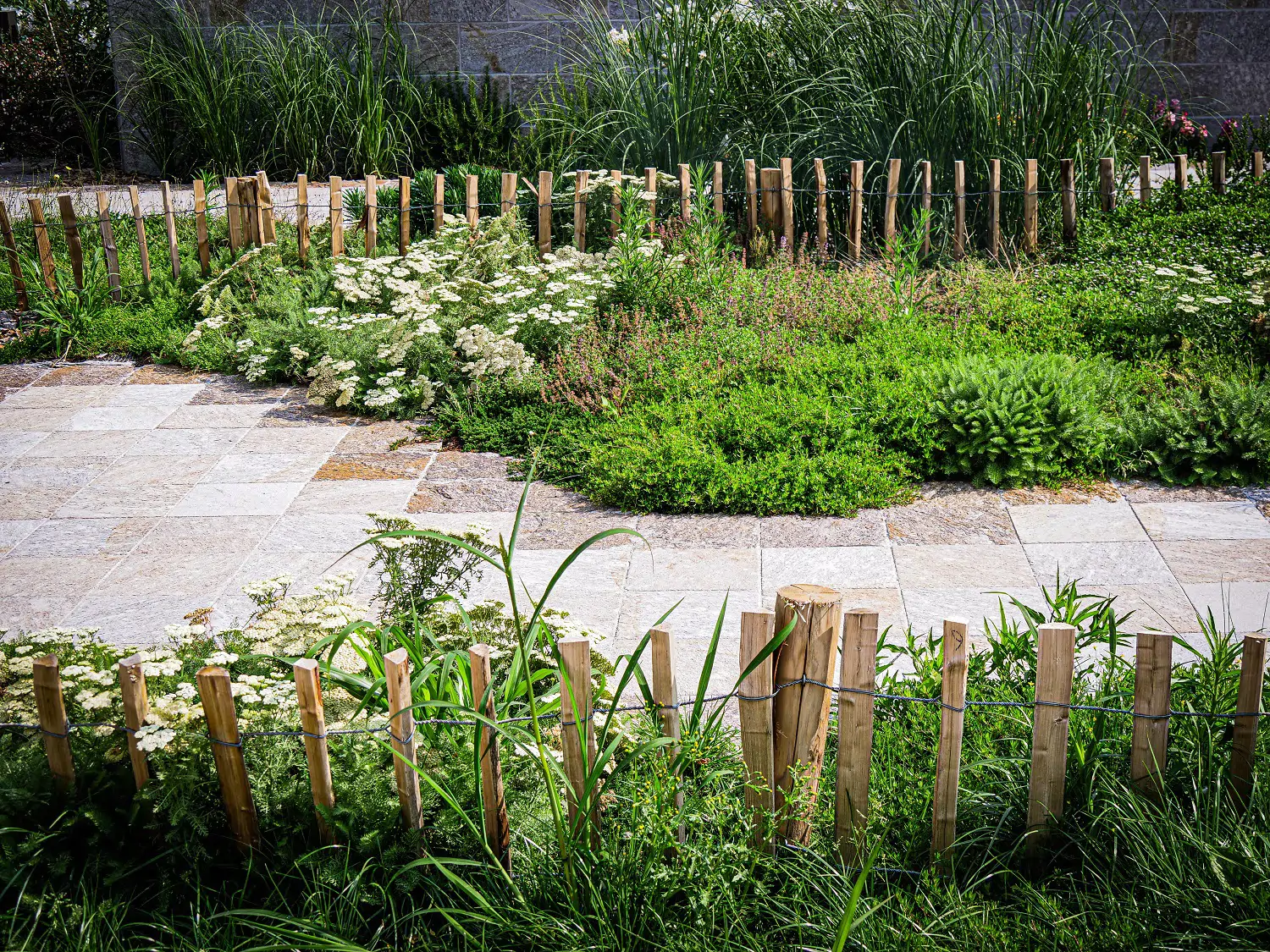 Place Franklin Roosevelt à Montauban 2