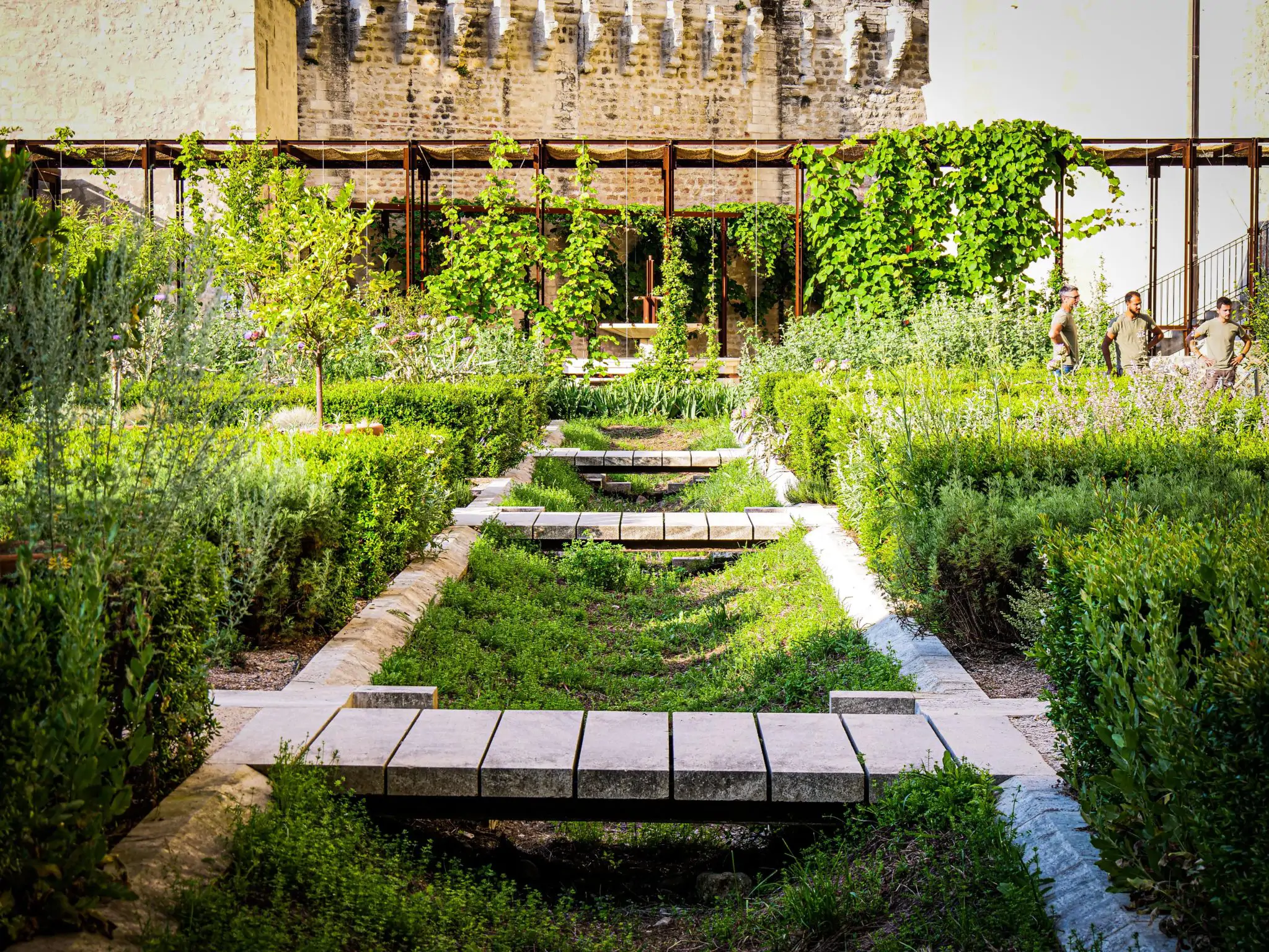 Les jardins du Palais des Papes à Avignon 1