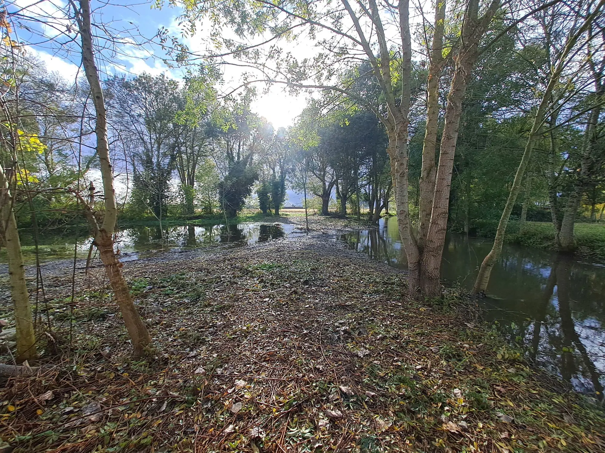 Le Couasnon à Beaufort-en-Anjou