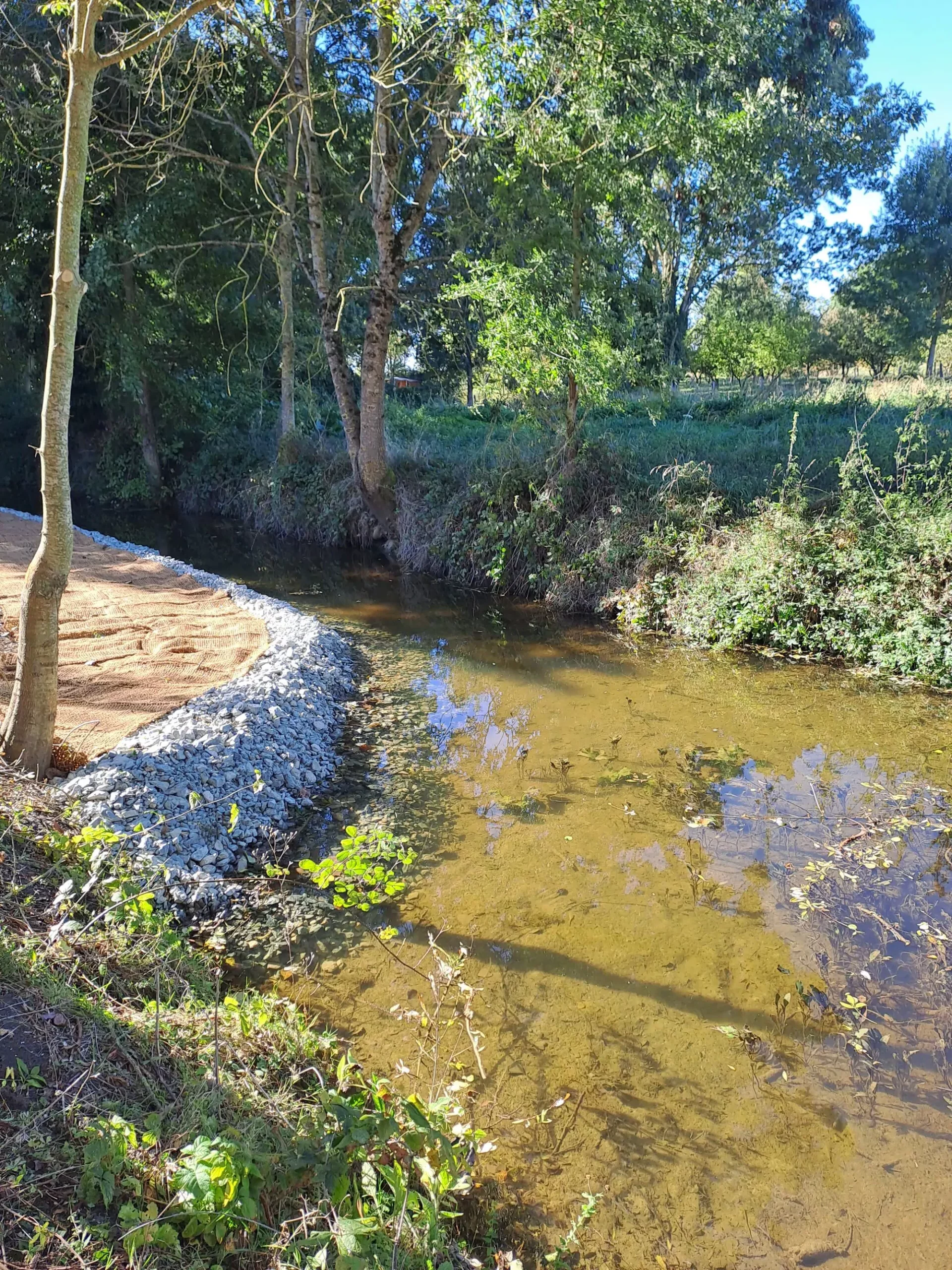 Le Couasnon à Beaufort-en-Anjou 2